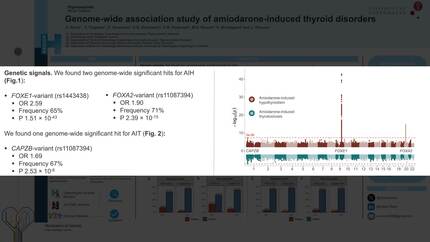 Presentation thumbnail