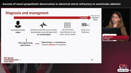 Success of renal sympathetic denervation in electrical storm refractory to ventricular ablation