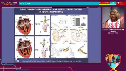 Presentation thumbnail