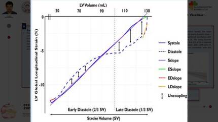 Presentation thumbnail