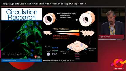 New frontiers of discovery in cardiovascular research