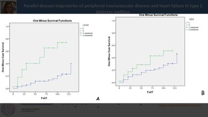 Parallel disease trajectories of peripheral neurovascular disease and heart failure in type 2 diabetes mellitus: a 12-year prospective follow-up