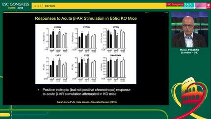 Presentation thumbnail