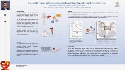 Haptoglobin 1 gene polymorphism protects against postoperative cardiovascular events