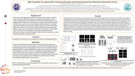 666-15 protects rats against MCT-induced pulmonary arterial hypertension by inhibiting mitochondrial fission