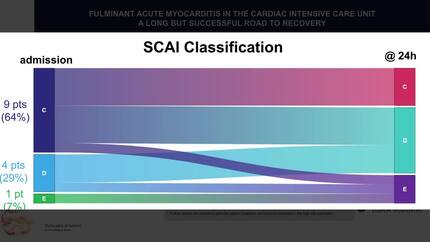 Fulminant acute myocarditis in the cardiac intensive care unit. A long but successful road to recovery