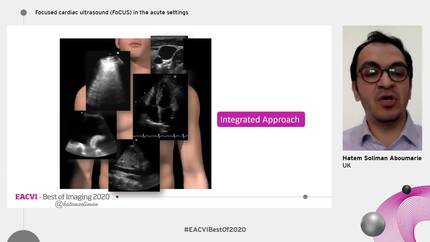 Focused cardiac ultrasound (FoCUS) in the acute settings