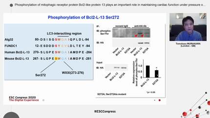Presentation thumbnail