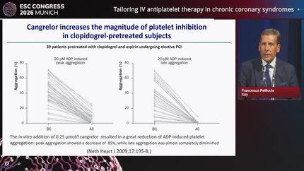 Tailoring IV antiplatelet therapy in chronic coronary syndromes