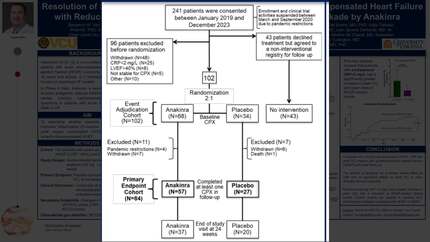 Presentation thumbnail