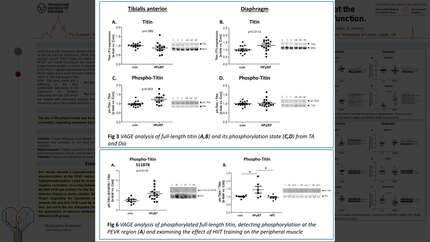 Presentation thumbnail