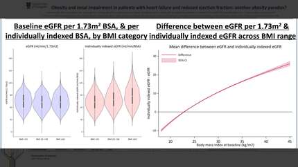 Obesity and renal impairment in patients with heart failure and reduced ejection fraction: another obesity paradox?