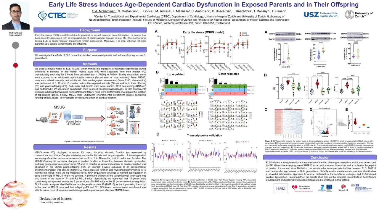 Early life stress Induces age-dependent cardiac dysfunction in exposed parents and in their offspring 