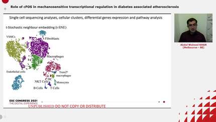 Role of cFOS in mechanosensitive transcriptional regulation in diabetes associated atherosclerosis
