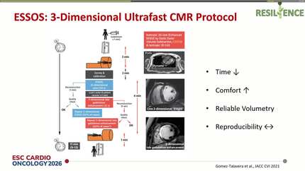 Presentation thumbnail