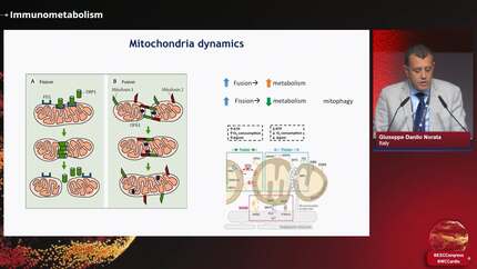 Presentation thumbnail