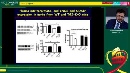 Presentation thumbnail