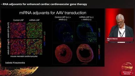 Presentation thumbnail