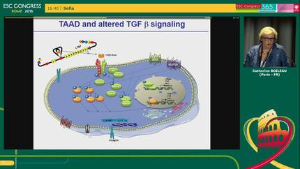 Presentation thumbnail