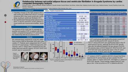 Relationship between epicardial adipose tissue and ventricular fibrillation in Brugada syndrome by cardiac computed tomography analysis