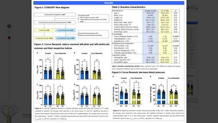 Cocoa flavanols alleviate early diastolic dysfunction by decreasing left atrial volume in healthy elderly individuals