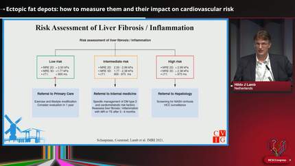 Ectopic fat depots: how to measure them and their impact on cardiovascular risk
