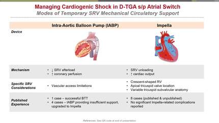 Presentation thumbnail