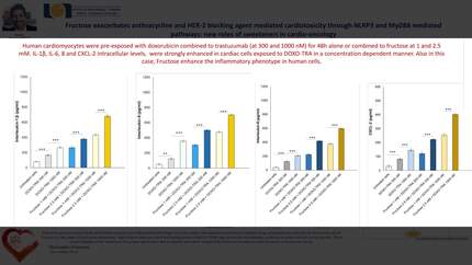 Fructose exacerbates anthracycline and HER-2 blocking agent mediated cardiotoxicity through NLRP3 and MyD88 mediated pathways: new roles of sweeteners in cardio-oncology