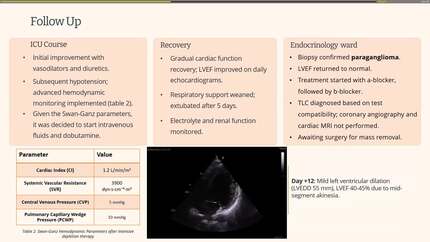 Presentation thumbnail