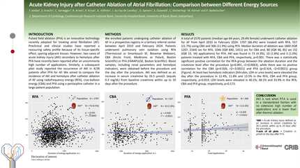 Acute kidney injury after catheter ablation of atrial fibrillation: comparison between different energy sources