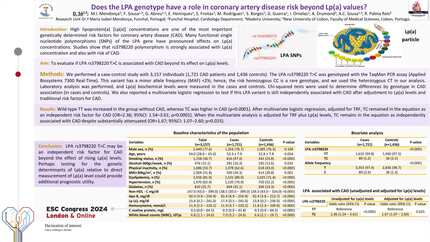 Does the LPA genotype have a role in coronary artery disease risk beyond Lp(a) values?