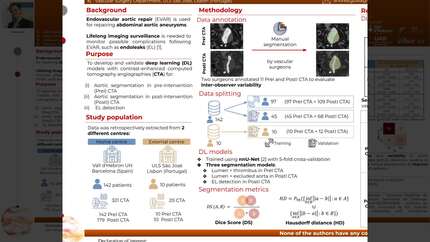 Deep learning for segmentation and endoleak detection in contrast-enhanced computed tomography in endovascular aortic repair patients
