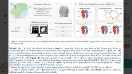 Presentation thumbnail