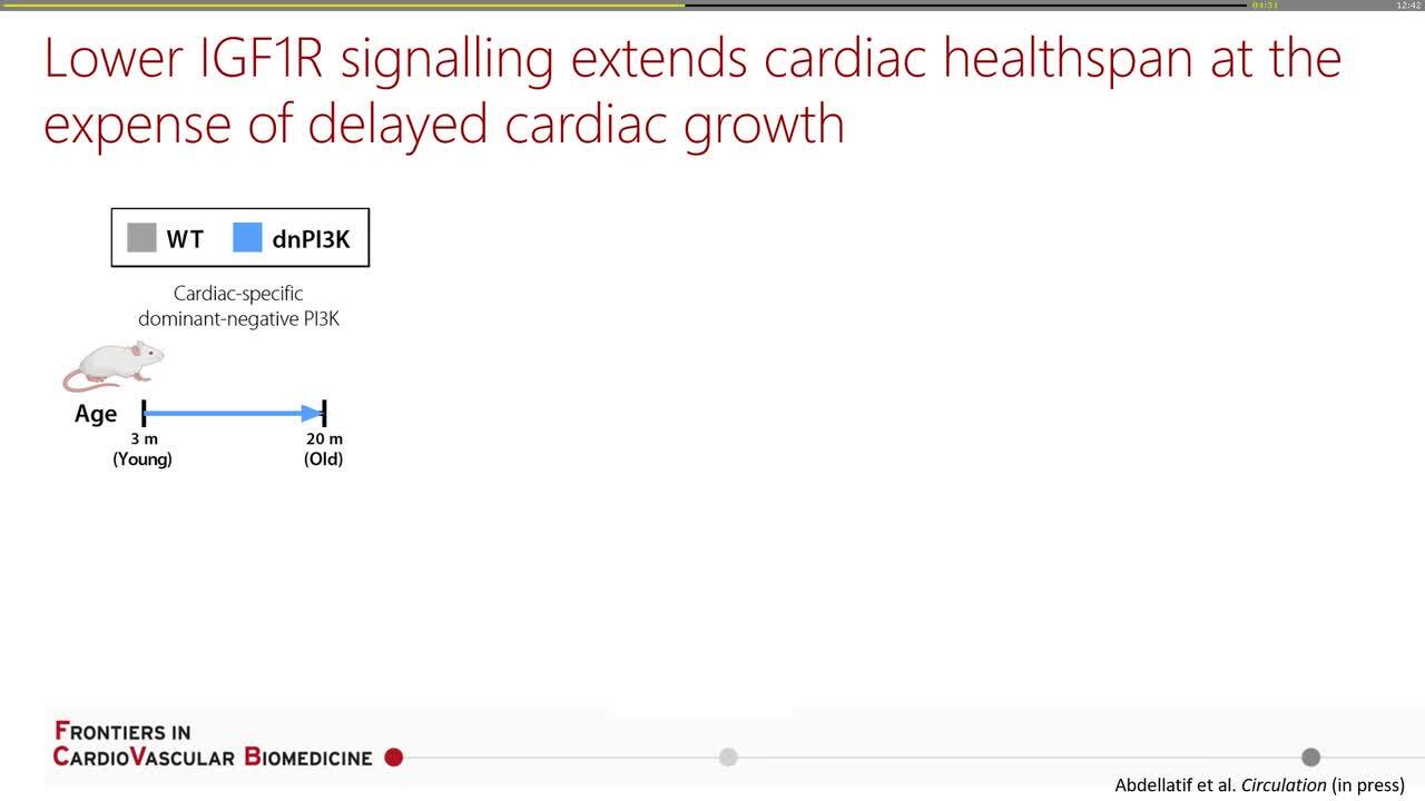 Basic Research Fellowship presentation