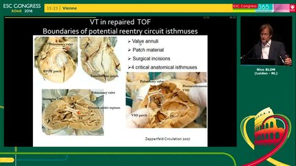 Presentation thumbnail