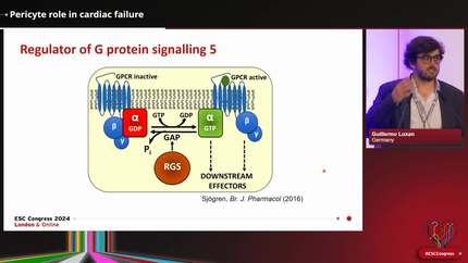Pericyte role in cardiac failure