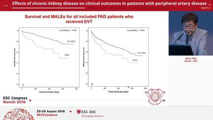 Effects of chronic kidney disease on clinical outcomes in patients with peripheral artery disease undergoing endovascular treatment: analysis from the K-VIS ELLA registry