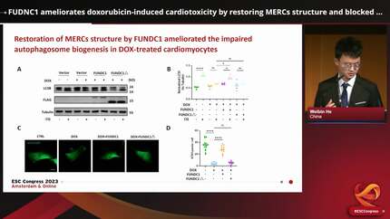 Presentation thumbnail
