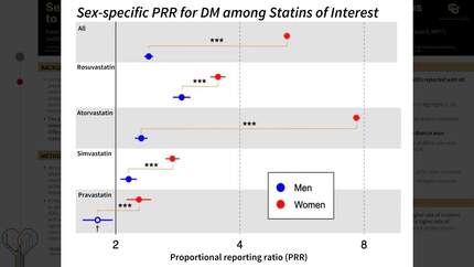 Sex differences in reporting of statin-associated diabetes mellitus to the US Food and Drug Administration