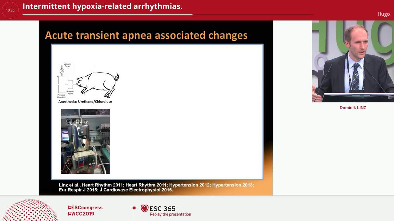 Presentation thumbnail