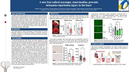 Presentation thumbnail