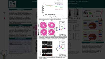 Presentation thumbnail