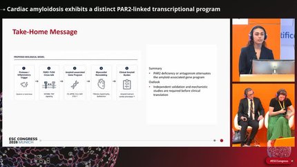 Presentation thumbnail