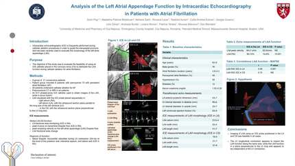 Analysis of the left atrial appendage function by intracardiac echocardiography in patients with atrial fibrillation