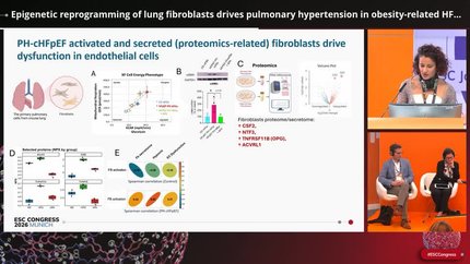Epigenetic reprogramming of lung fibroblasts drives pulmonary hypertension in obesity-related HFpEF
