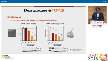 Presentation thumbnail