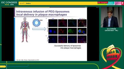 Presentation thumbnail