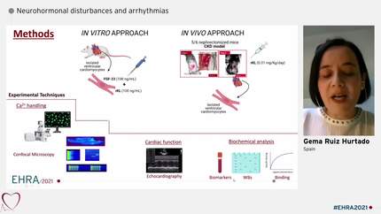 Presentation thumbnail