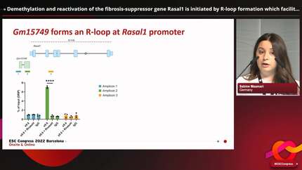 Presentation thumbnail