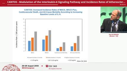 Presentation thumbnail